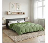 vidaXL Couette d'été 240 x 260 cm Été Microfibre (100% polyester) Vert 42025964