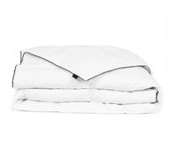 vidaXL Couette en duvet d'hiver 150 x 200 cm 132881