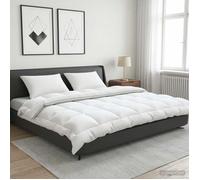 vidaXL Couette TRIER 200x200 cm 4 saisons 350 GSM Blanc 42042825