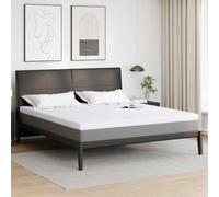 Vidaxl Coussins De Matelas Blanc 180 X 200 Cm