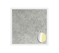 vidaXL Couverture de vis Auto-adhésive 12 pcs Gris béton Ø 20 x 0,5 mm, Outils de Pro, Accessoires fiables, matériel Compact, Composants faciles à Manipuler, kit DIY Essentiel pour Tout Faire