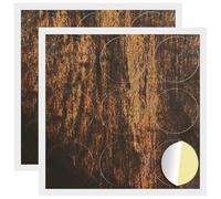 vidaXL Couverture de vis Auto-adhésive 2 pcs Bois Ancien Ø 20 x 0,5 mm, Un Design Rond et attirant, Cache-vis adhésif, matériel de Projet et Accessoire DIY pour décorer chez Vous