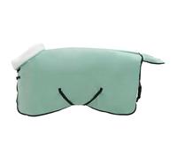 vidaXL Couverture Équine Vert spécial 105 cm Fleece Polaire