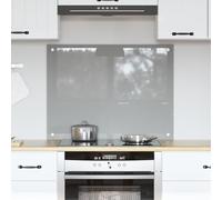 vidaXL Meuble de cuisine Gris clair 80x60x0,6 cm en verre trempé