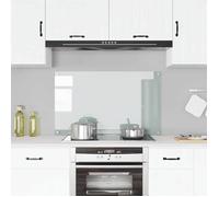 vidaXL Crédence de Cuisine, Transparent, 100x60 cm, Verre Trempé, Résistant à la Chaleur et aux Rayures, Panneau Mural, 249477