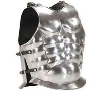 vidaXL Cuirasse d'Armure Corporelle de Soldat Romain Fête d'Halloween Reconstitution Historique Cosplay Accessoire de Théâtre Acier Argenté Argent G