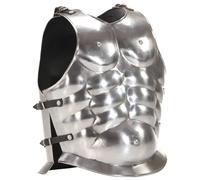 vidaXL Cuirasse d'armure corporelle de soldat romain GN Argenté Acier
