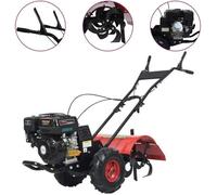 vidaXL Cultivateur à essence 6,5 ch 196 cc 146266