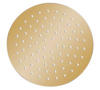 Pomme de douche pluie Acier inoxydable 20 cm Ronde Doré G