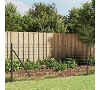 vidaXL Draadgaashek met grondankers 1x10 m antracietkleurig154273 G