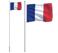 vidaXL Drapeau de la France et mât 6,23 m Aluminium