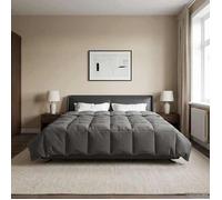 vidaXL Duvet complet toute l'année Gris clair 240 x 260 cm Microfibre 42026012