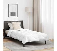 Vidaxl Duvet D'été Avec Oreiller 2 Pcs Blanc 155 X 220 Cm Microfibre