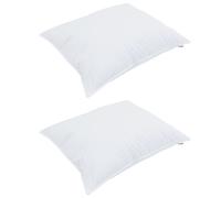 vidaXL Duvet d'hiver avec oreiller 3 pcs Blanc 200 x 200 cm Microfibre