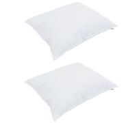 vidaXL Duvet d'hiver avec oreiller 3 pcs Blanc 200 x 220 cm Microfibre