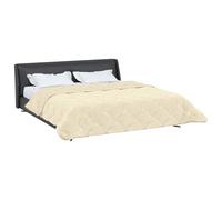 vidaXL Duvet d'hiver Crème 200 x 200 cm Microfibre et Polaire Teddy, Couette Moderne, Couvre-lit Douillet, Couverture Douce, Plaid résistant, Confortable et Fonctionnelle