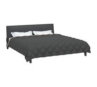 vidaXL Duvet d'hiver Gris Clair et Anthracite 240 x 260 cm Microfibre, Décor de Chambre, Literie Moderne, Duvet Extra Doux, Housse Élégante, Couette Stylée, Couverture Respirante
