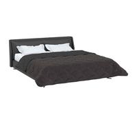 vidaXL Duvet d'hiver Matelassé Anthracite 200 x 240 cm, Couette Moderne, Couvre-lit Douillet, Couverture Douce, Plaid résistant, Confortable et Fonctionnelle