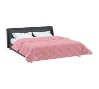 vidaXL Duvet d'hiver Rose 220 x 240 cm Microfibre et Polaire Teddy, Couette Moderne, Couvre-lit Douillet, Couverture Douce, Plaid résistant, Confortable et Fonctionnelle