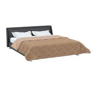 vidaXL Duvet d'hiver Taupe 220 x 260 cm Microfibre et Polaire Teddy, Couette Moderne, Couvre-lit Douillet, Couverture Douce, Plaid résistant, Confortable et Fonctionnelle