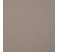 vidaXL Écran de confidentialité extérieur Taupe 160 x 160 cm - Résistant aux UV, Tissu Pliable, Cadre en Acier Peint en Poudre, Style Ventilateur, Parasol de Balcon, Design Moderne, réglage Manuel, p