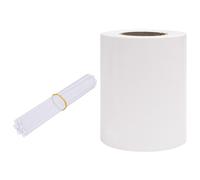 vidaXL Écran d'intimité de jardin PVC 70x0,19 m Blanc