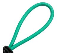 vidaXL Elastiques de serrage avec crochet 20 pcs. 15 cm