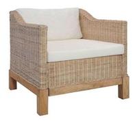 Vidaxl Ensemble De Canapés 2 Pcs Avec Coussins Rotin Naturel