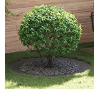 vidaXL Ensemble de Jardinières Noires Noir Plastique Grand Durable