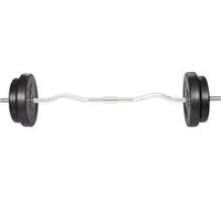 vidaXL Ensemble d'haltères avec barre curl et disques d'haltères 30 kg