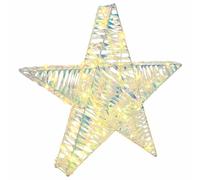 vidaXL Étoile en 3D avec 50 LED Blanc Chaud 55 x 52,5 x 9 cm Pet, Salon, déco de Noël étoile Moderne, Ornement LED, lumière Blanche Chaude, Illumination Festive, Design Simple