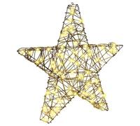 vidaXL Étoile en 3D avec 50 LED Blanc Chaud 55 x 52,5 x 9 cm Rotin, Salon, déco de Noël étoile Moderne, Ornement LED, lumière Blanche Chaude, Illumination Festive, Design Simple