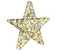 vidaXL Étoile en 3D avec 50 LED Blanc chaud 55 x 52.5 x 9 cm Rotin, Salon, déco de Noël étoile moderne, ornement LED, 42019104