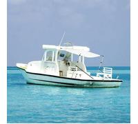 vidaXL Extension d'ombrage T-Top 174x205x(115-194) cm Blanc