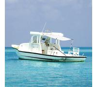 Vidaxl Extension D'ombrage T-Top Blanc 174x205x(115-194) Cm