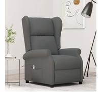 VidaXL 3098320 fauteuil