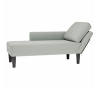 Fauteuil Long et Coussin et Accoudoir Droit Chaise Siège Salon Velours vidaXL