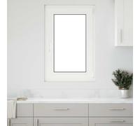 vidaXL Fenêtre de sous-sol« RISOR » 60 x 100 cm oscillo-battante DIN droite anthracite