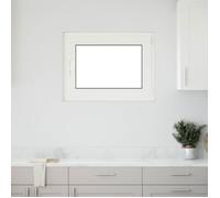 vidaXL Fenêtre de sous-sol RISOR – PVC et verre Blanc 80 x 50 cm