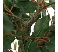 vidaXL Ficus Artificiel 756 feuilles 170 cm Vert