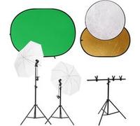 vidaXL Fotostudioset met lichtset, achtergrondscherm en reflector3143954 Noir G