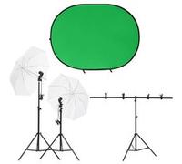 vidaXL Fotostudioset met verlichtingsset en achtergrondscherm3143945 Noir G