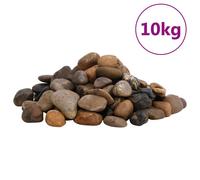 Vidaxl Galets Polis 10 Kg Multicolores 2-5 Cm