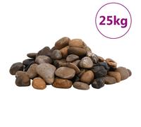 Vidaxl Galets Polis 25 Kg Multicolores 2-5 Cm