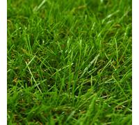 Vidaxl Gazon Artificiel 1x15 M/30 Mm Vert