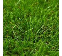Vidaxl Gazon Artificiel 1x15 M/40 Mm Vert