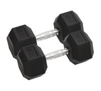 vidaXL Haltères 2 pcs 25 kg Total Fonte, ensemble d'haltères, haltère hexagonal, plaque de poids, barre de poids 93605