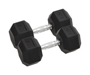 vidaXL Haltères 2 pcs 25 kg Total Fonte, ensemble d'haltères, haltère hexagonal, plaque de poids, barre de poids 93605