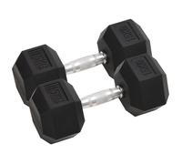 vidaXL Haltères 2 pcs 30 kg Total Fonte, ensemble d'haltères, haltère hexagonal, plaque de poids, barre de poids 93606