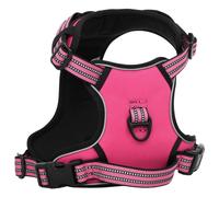 Vidaxl Harnais Pour Chien Avec Laisse Et Collier Réglables Rose S